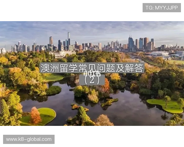 关于世界杯对阵图下载的常见疑问及详细解答，满足用户多样化信息需求